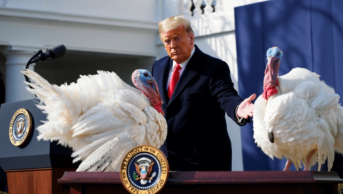 
    Trump jokes about naming pardoned turkeys “Chuck and Nancy,” calls Illinois governor a “big, fat slob”  