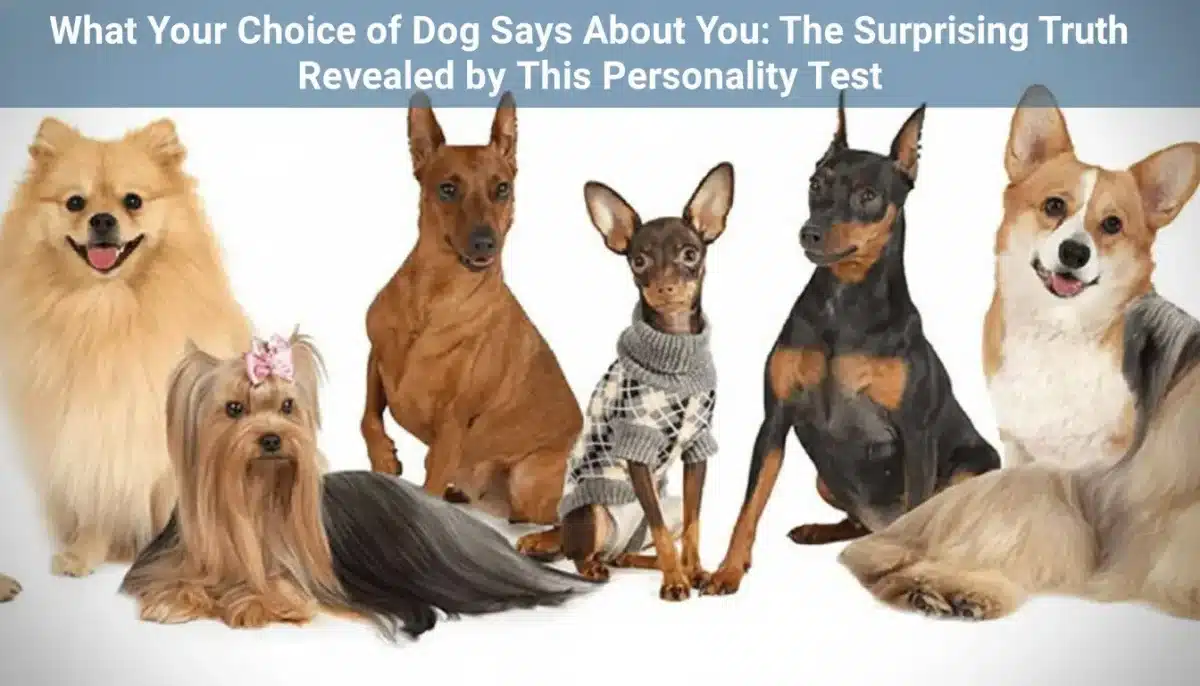 What Your Choice of Dog Says About You: The Surprising Truth Revealed by This Personality Test